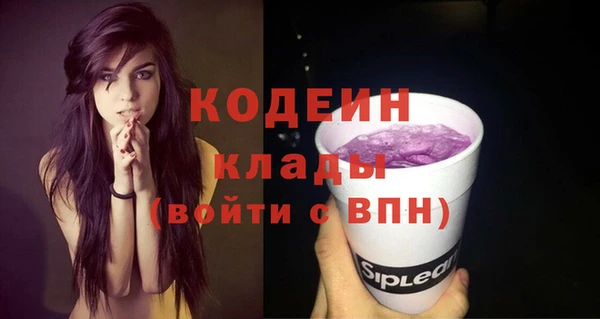 шишки Снежинск