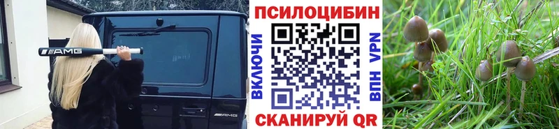 Галлюциногенные грибы GOLDEN TEACHER  купить наркоту  Буинск 